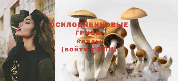 ешки Армянск