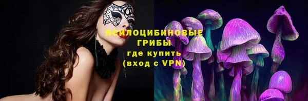 mix Арсеньев