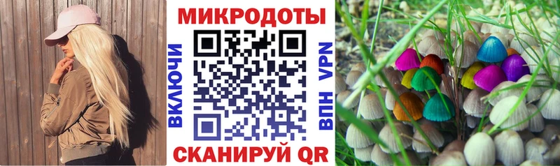 Галлюциногенные грибы ЛСД  наркота  Белая Калитва 