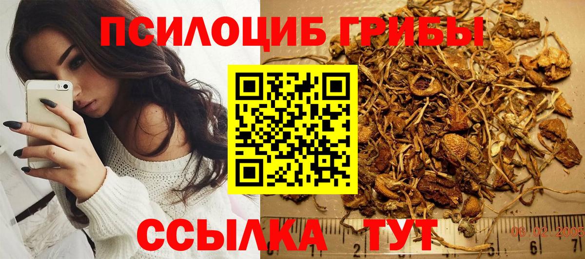 Белая Калитва  Псилоцибиновые грибы MAGIC MUSHROOMS  Вход с VPN 