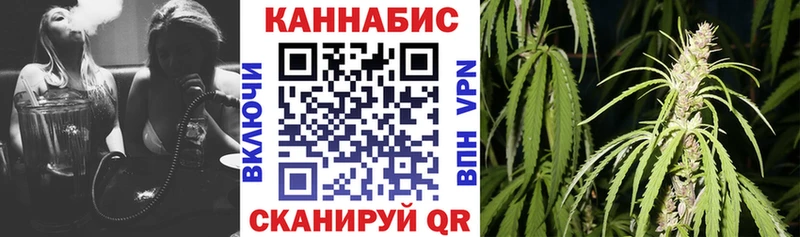 Шишки марихуана план  Белая Калитва 
